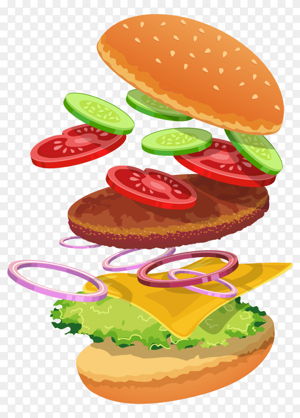 Hamburger ingredients on transparent background PNG