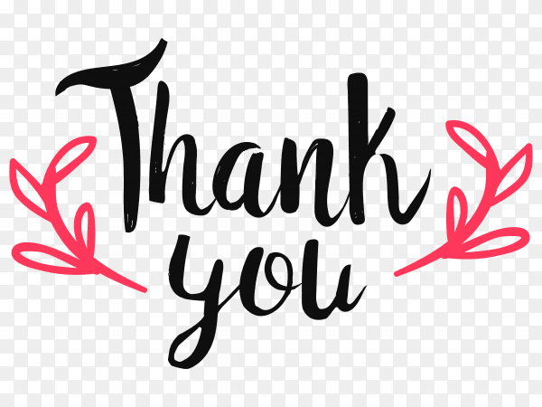 Hand drawn thank you premium vector PNG