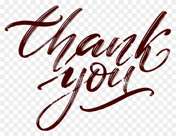 Hand written thank you isolated on transparent background PNG
