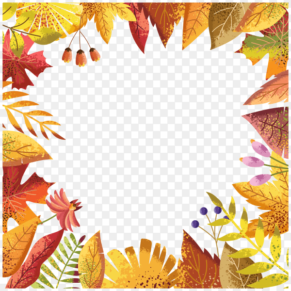 Illustration of autumn leaves on transparent background PNG