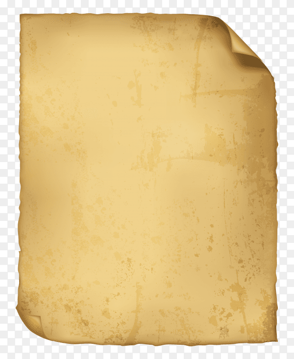 Parchment isolated premium vector PNG