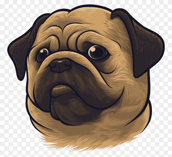 Pug dog portrait premium vector PNG
