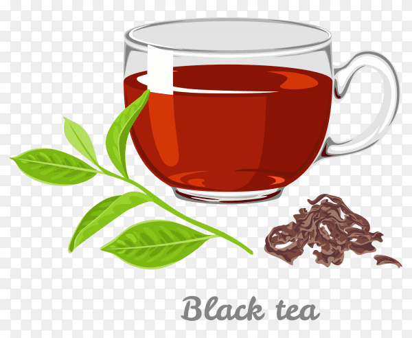 A cup of black tea on transparent background PNG