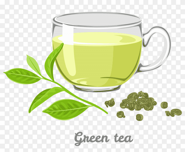 A cup of green tea on transparent background PNG