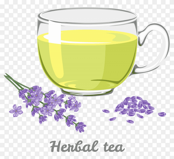 A cup of herbal tea on transparent background PNG