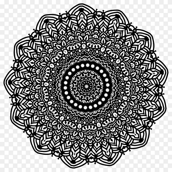 Beautiful floral mandala design on transparent PNG
