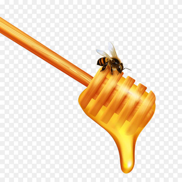 Bee and Honey dripping from a wooden spoon on transparent background PNG