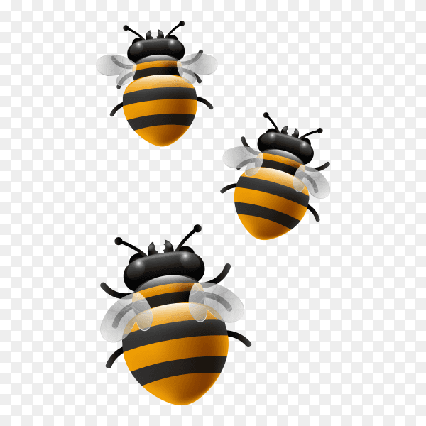 Bee illustration premium vector PNG