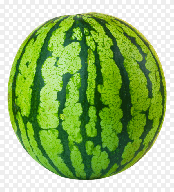 Big ripe watermelon isolated on transparent background PNG