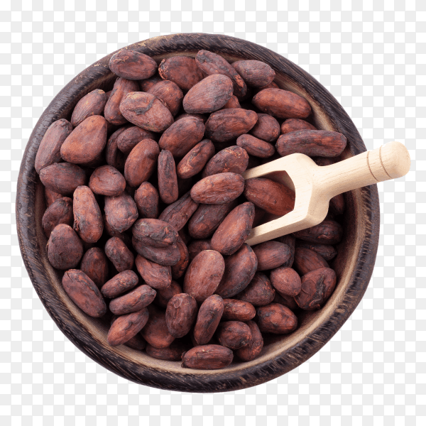 Cocoa beans in a wooden bowl on transparent background PNG