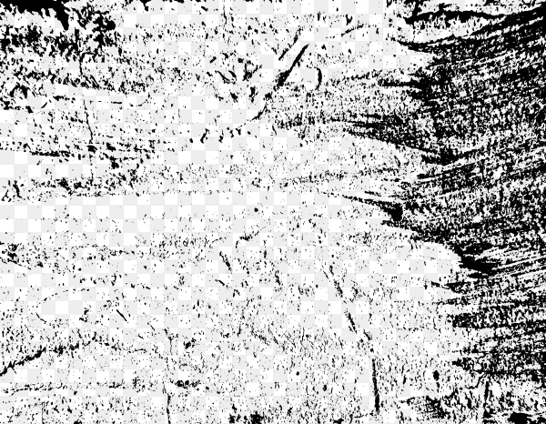Grunge black and white texture on transparent background PNG