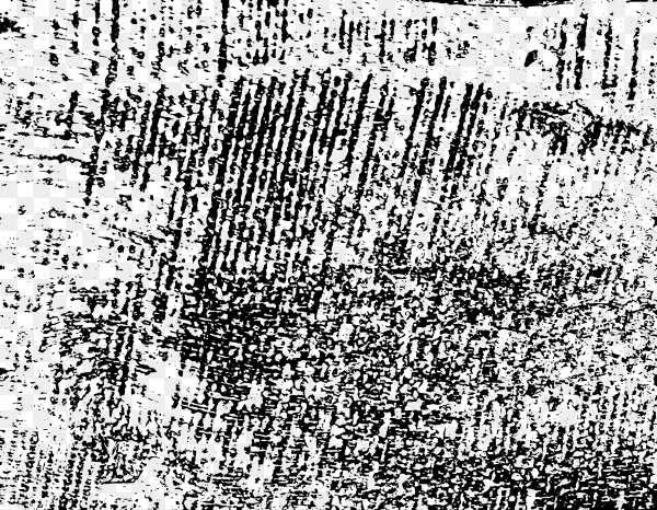 Grunge black and white texture premium vector PNG