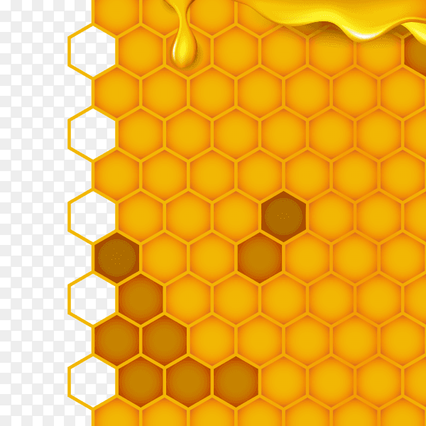 Honeycomb in orange color on transparent background PNG