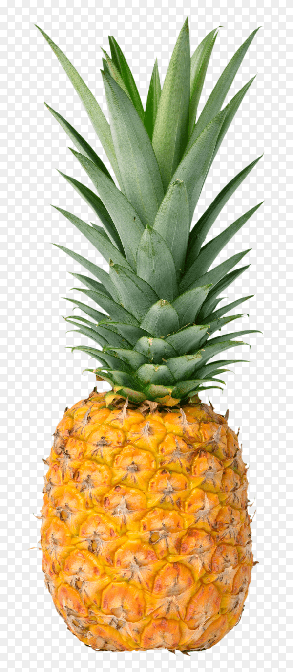 Pineapple fruit on transparent background PNG