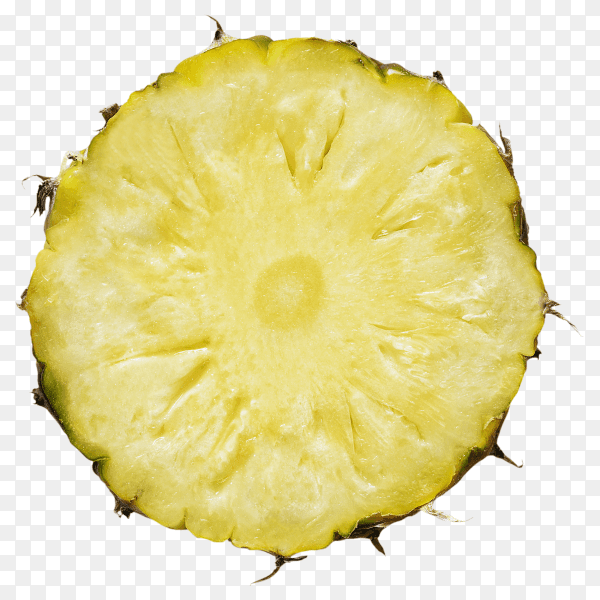 Pineapple in a piece round shape with peel on transparent background PNG