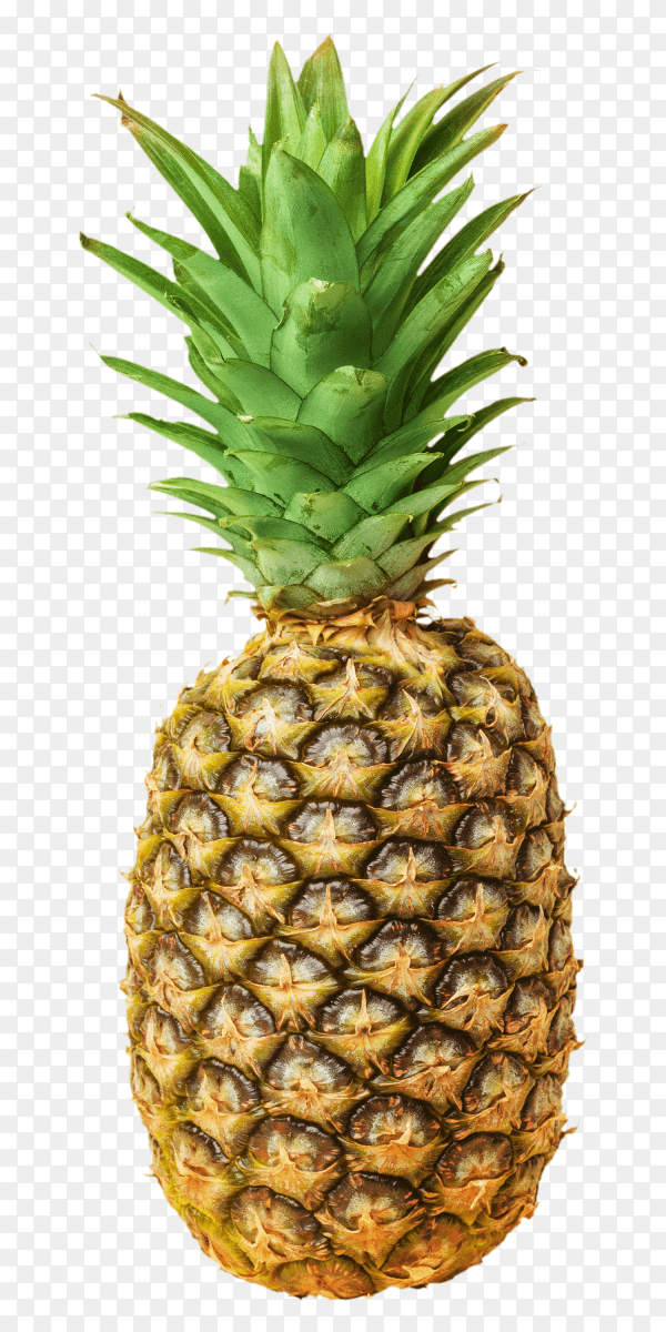 Pineapple isolated on transparent background PNG
