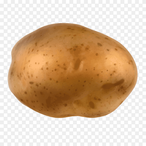 Potato isolated on transparent background PNG