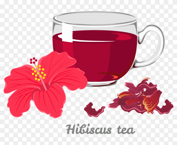 Red hot hibiscus tea in a glass mug on transparent background PNG