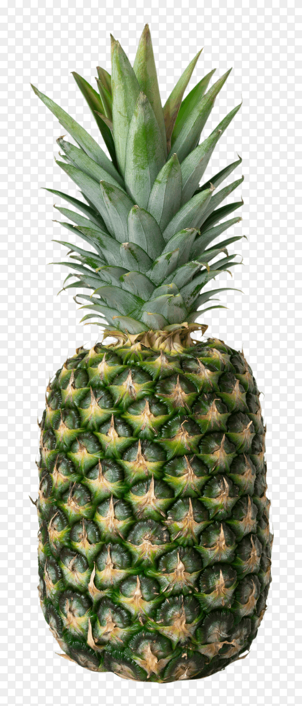 Ripe juicy green pineapple isolated on transparent background PNG