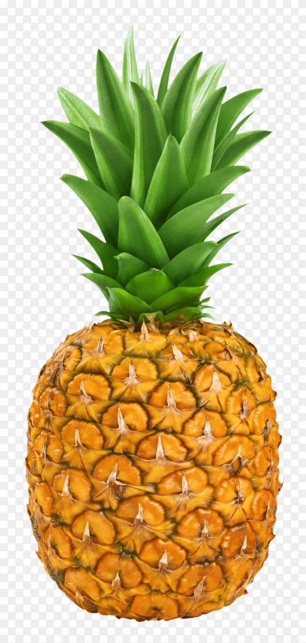 Ripe pineapple isolated on transparent background PNG