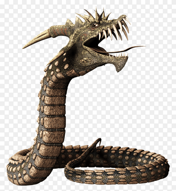 Snake isolated on transparent background PNG