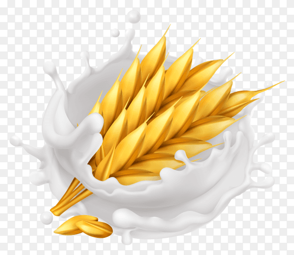 Wheat and milk splash on transparent background PNG