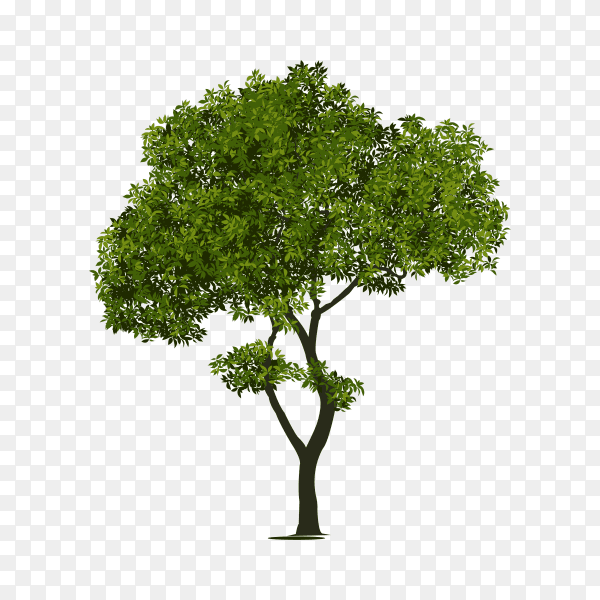 Flat design of green tree isolated on transparent background PNG