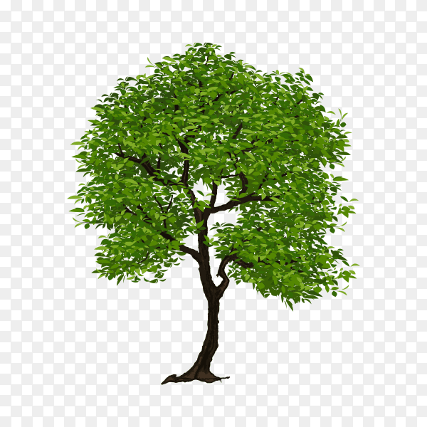 Green tree illustration premium vector PNG