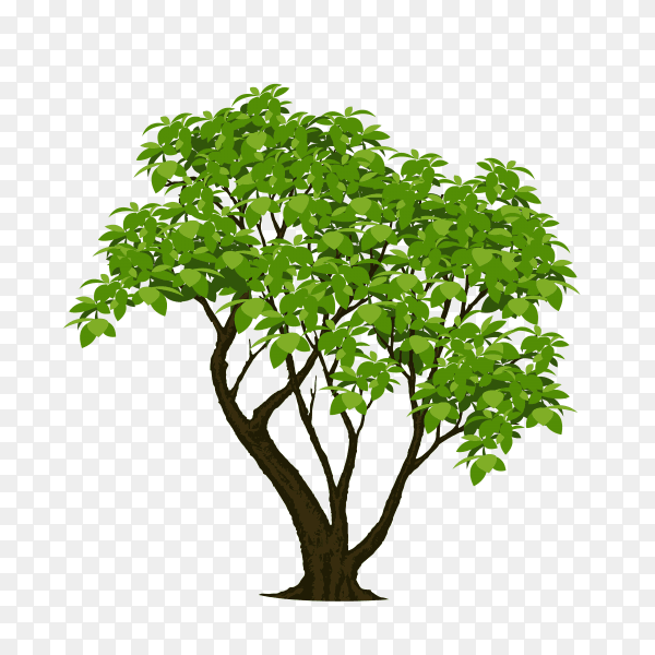 Green tree illustration on transparent PNG
