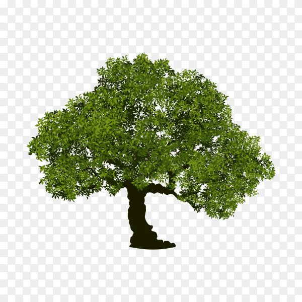 Green tree isolated clipart PNG