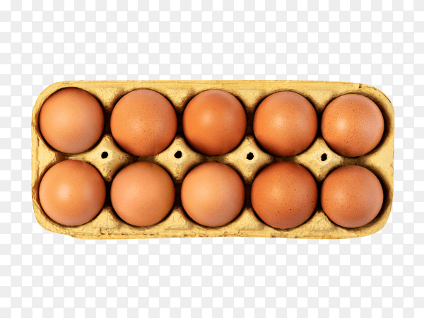 Brown chicken eggs in cardboard box on transparent background PNG