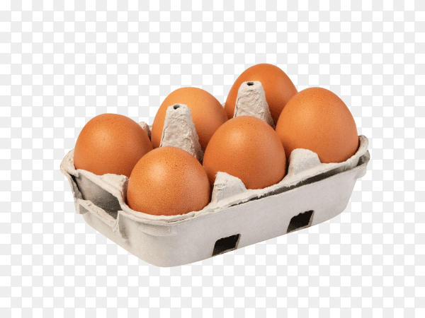 Chicken eggs in carton box on transparent background PNG