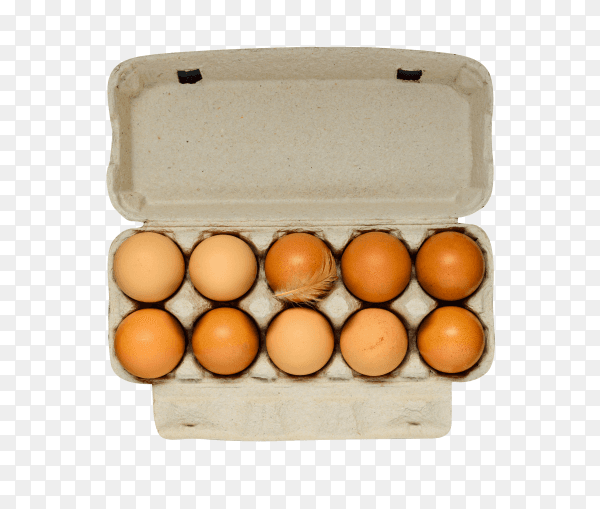 Fresh eggs in package on transparent background PNG