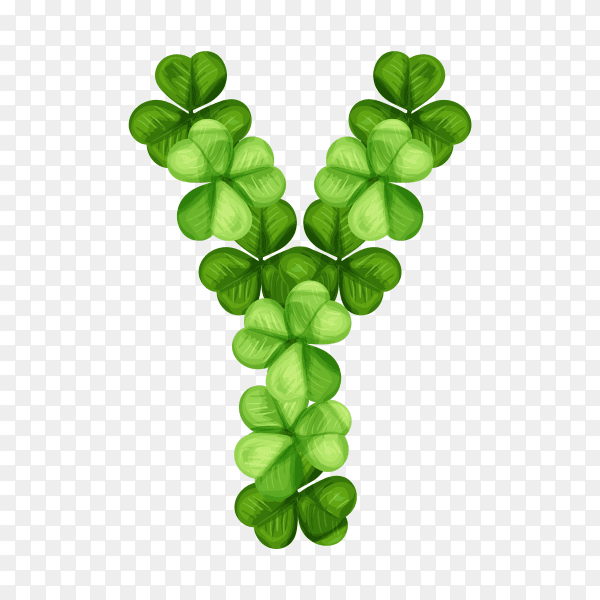 Letter Y clover ornament isolated on transparent background PNG