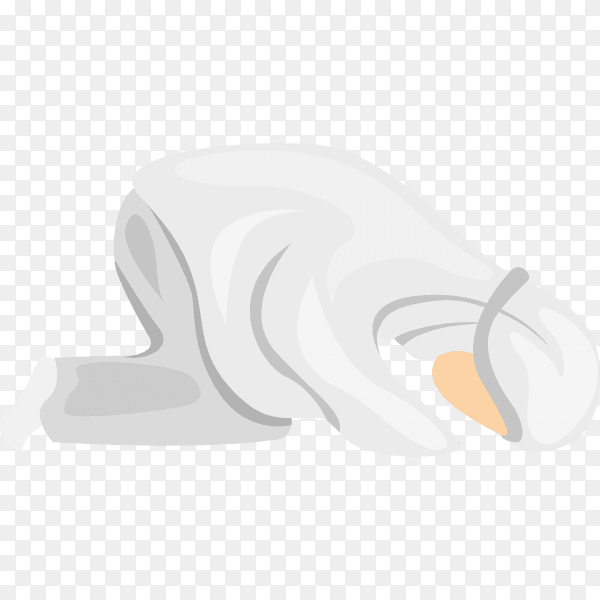 Muslim female praying and Prostrate in prayer on transparent background PNG