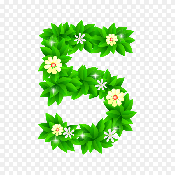 Number Five of the green and white flowers isolated on transparent background PNG