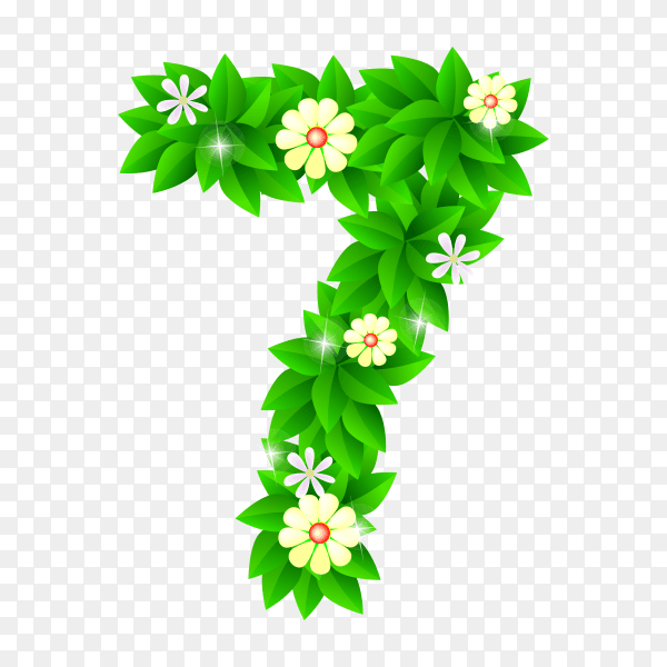 Number Seven of the green and white flowers isolated on transparent background PNG