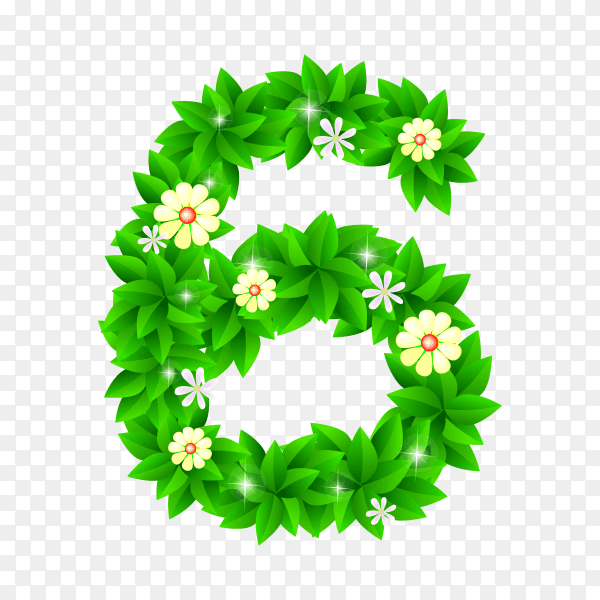 Number Six of the green and white flowers isolated on transparent background PNG