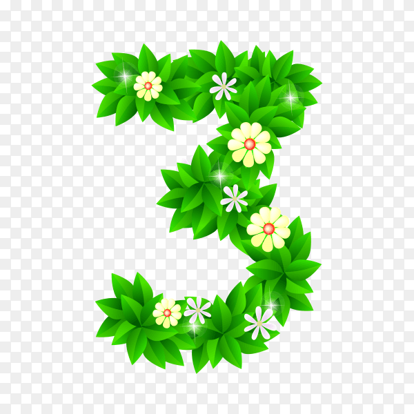 Number Three of the green and white flowers isolated on transparent background PNG
