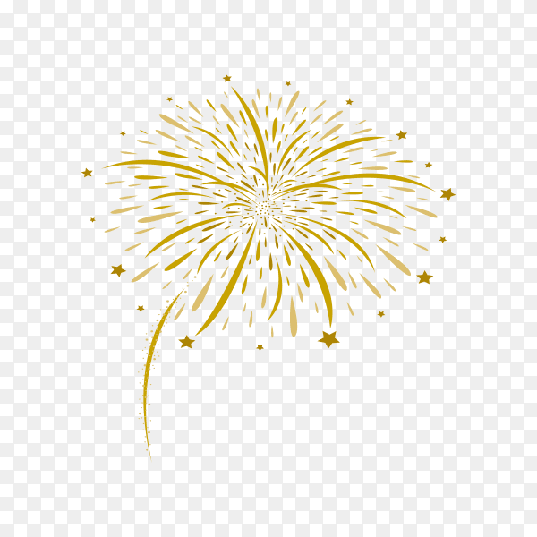 Abstract firework and stars on transparent background PNG