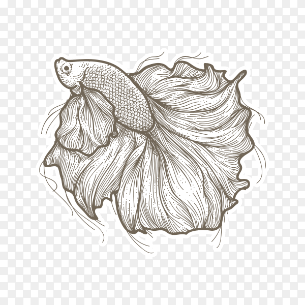 Beauty Betta fish on transparent background PNG