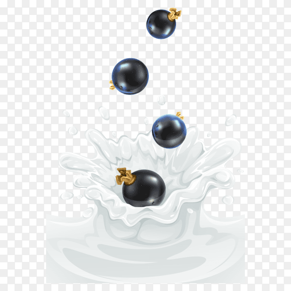 Black cherry Dropping into milk splash on transparent background PNG