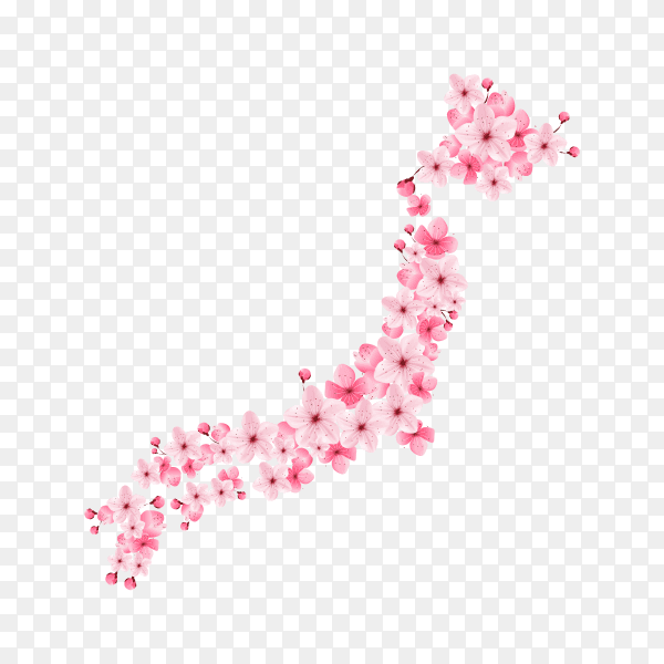 Cherry blossom isolated premium vector PNG