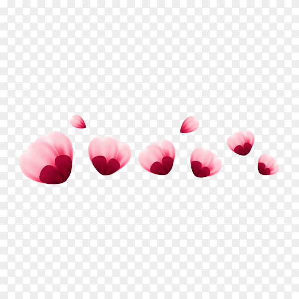 Cherry blossom on transparent background PNG