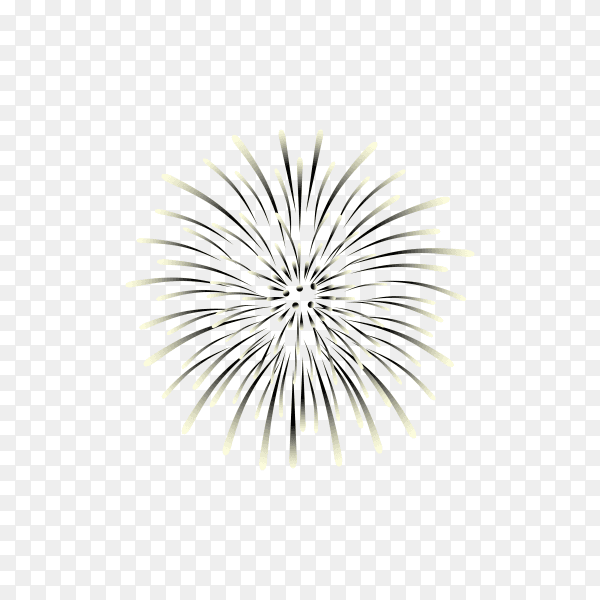 Colorful firework display on transparent background PNG