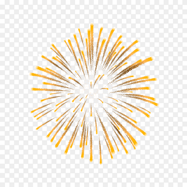 Colorful firework for festival on transparent background PNG