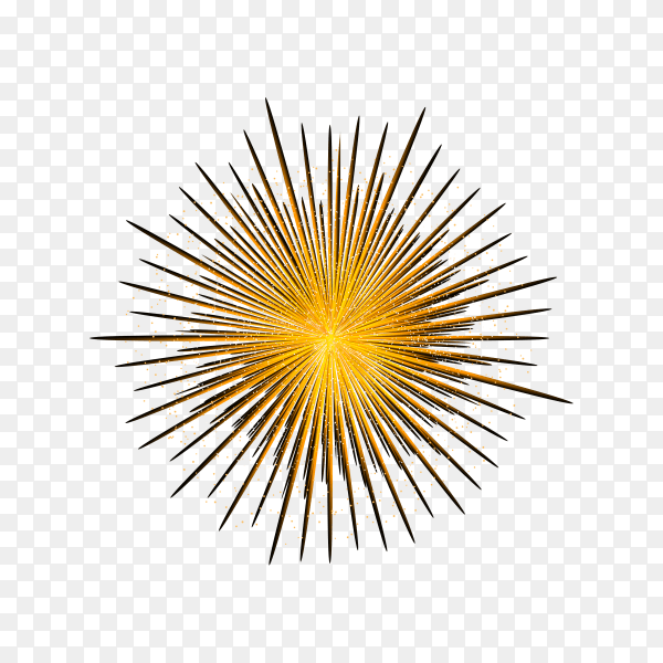 Colorful fireworks display isolated on transparent background PNG