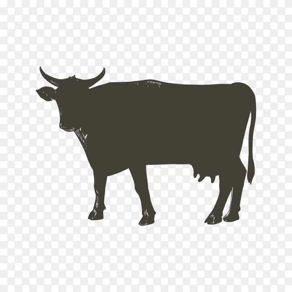 Dairy cow with horns silhouette on transparent background PNG