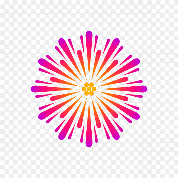 Fireworks bursting in various shape on transparent background PNG