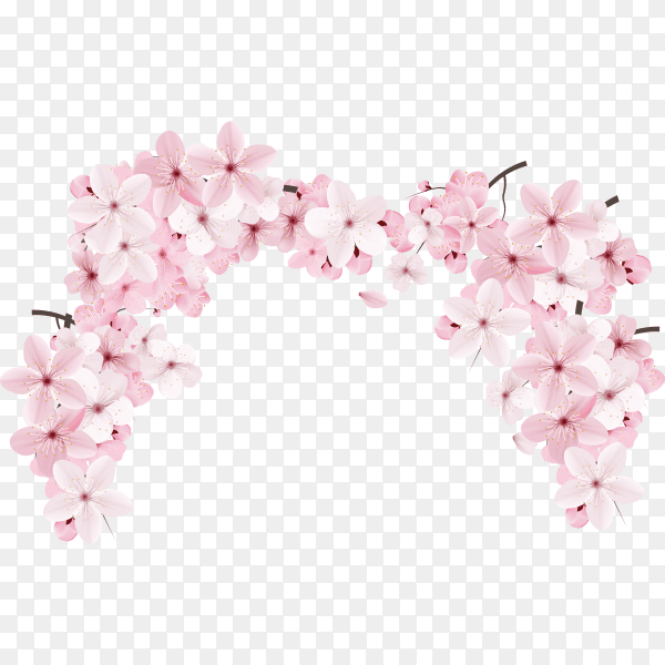 Realistic beautiful sakura branches flowers and petals illustration on transparent background PNG